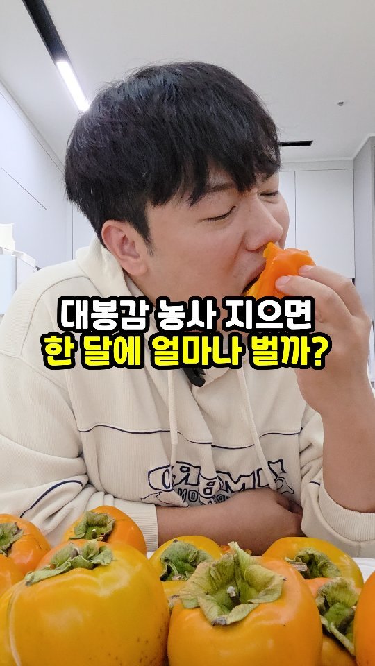 sajangppark 게시물 이미지: 감농사 지으면 한 달에 얼마나 벌까?
.
.
안녕하세요 ! 오늘은 감농사를 하면...