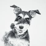 takeuchi_ryoma 프로필 사진