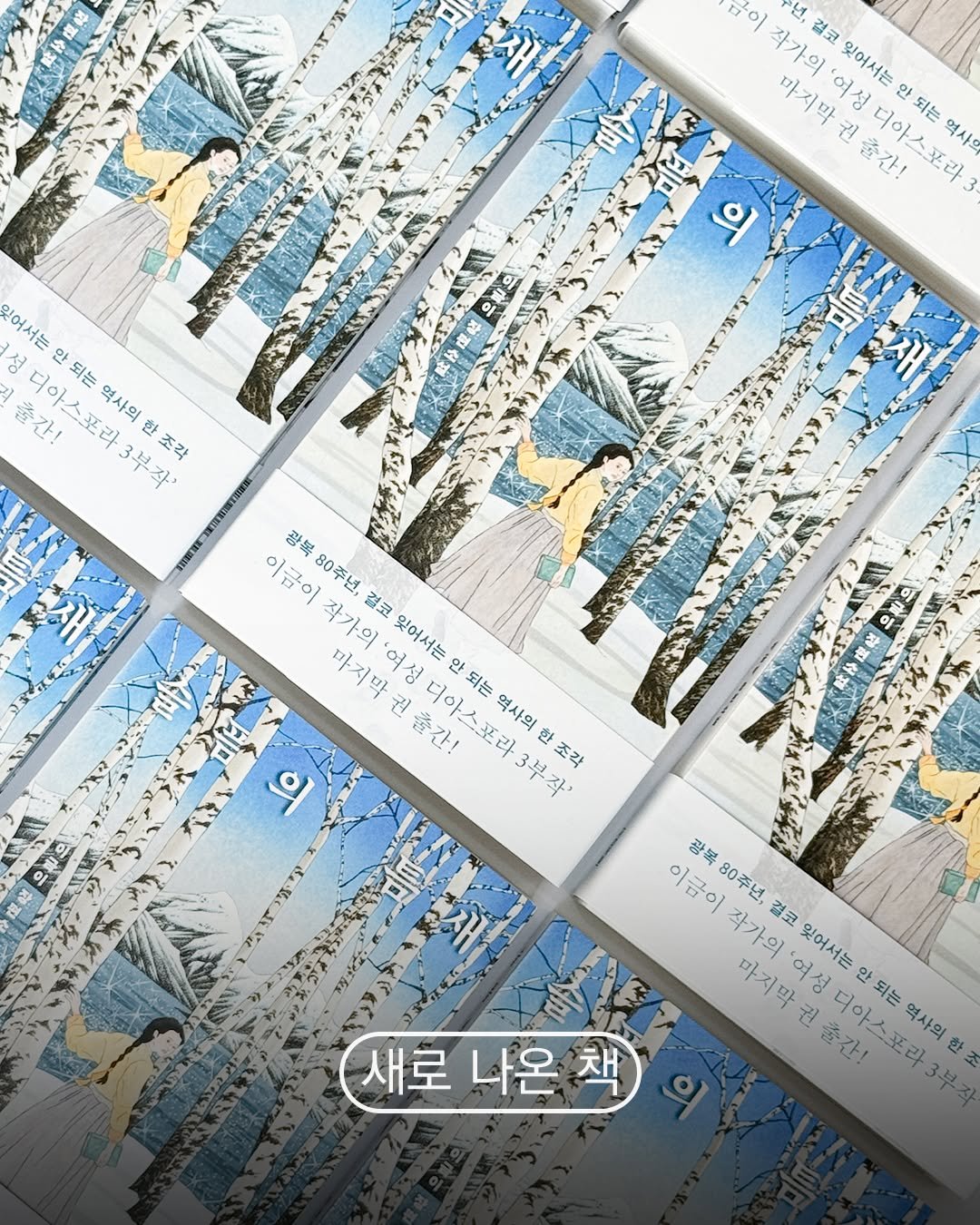 Photo by 사계절출판사 on August 10, 2025. May be an image of ‎calendar, poster and ‎text that says '‎금이 년, 작가의' 마지막 마지막권출간! 작가의'여성디아스포라 '여성 잊어서는 경코 출간! 디아스포라 되는 역사의 의 으림으 잃어서는 출간! 六吉軒 되는 역사의 디아스포라3부작' 서는안되는역사의한조각 한 3부작' 한조각 이금이작가의'여정디아스프라 이금이 80주년, 작가의 결코 마지막권출간! 마지막 '여성 되는 되는 잊어서는 출간! 역사의 디아스포라3부 1고크ㅋㅋㅋ8니아스오다3수4 한 한 의 3부작' 조각 له 이쿠이자가의'여서다아스퍼 광목 이금이 80주년 작가의 마지막 결코 '여성 잊어서는 마지막권출간! 안 되는 되는 새로 나온 새로나온책 책 출간! 디아스포라 가의'여성디아스포라3 3부즈 역사의 한‎'‎‎.