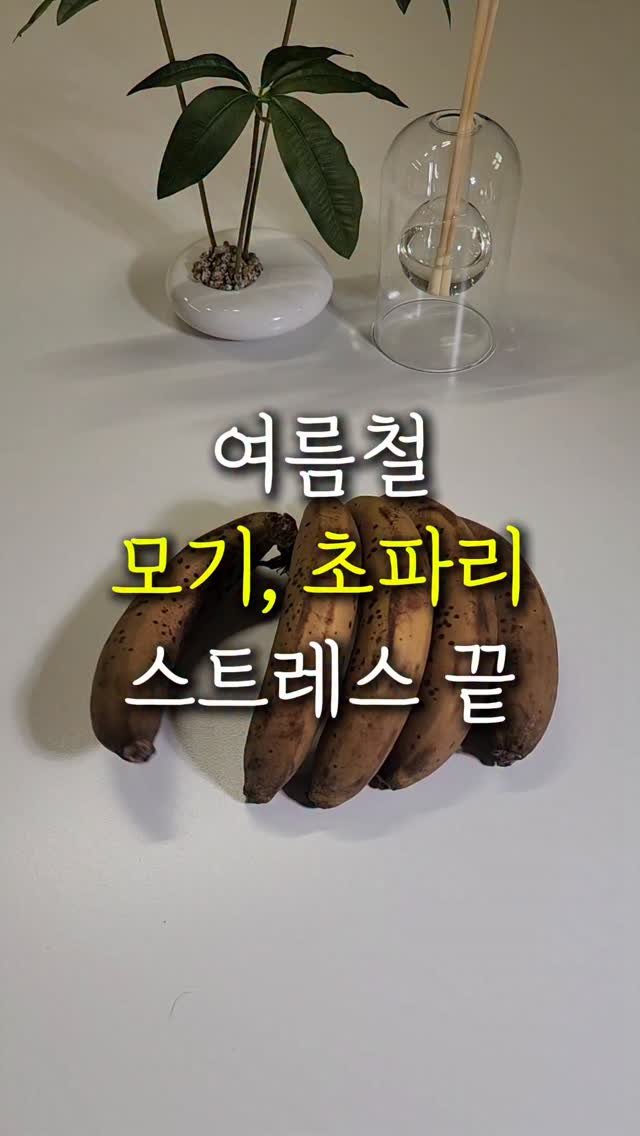 sallim.ggomggom 게시물 이미지: 댓글로 "모기" 남겨주세요

여름철 모기, 초파리 등장!! 미리 준비하는 꿀템

🚀...