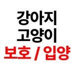 neco.story 프로필 사진