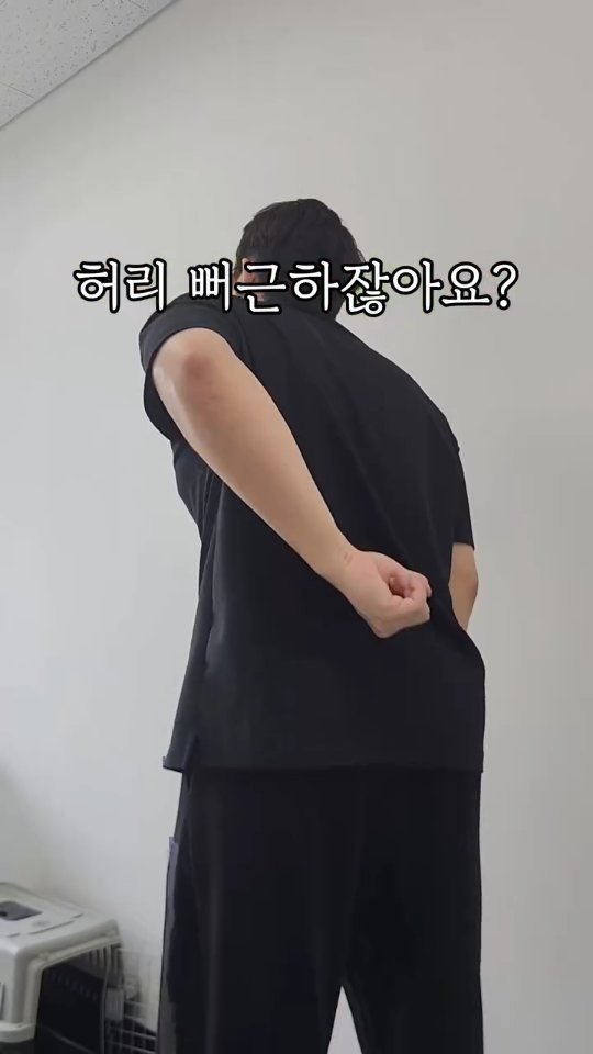 sallim_friend 게시물 이미지: 허리 아픈 사람 필수템🫰
장시간 앉아서 일하거나
장시간 운전할 때
쏙 껴주면...