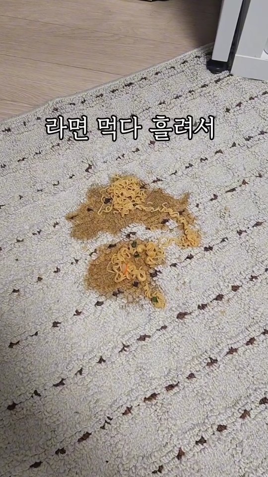 sallim_friend 게시물 이미지: 하..침대에 오줌쌌어요😭
✅️클렌하임 이너청소기 공구...