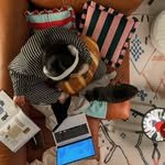 lle.__.d 프로필 사진