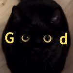 goodcats.zip 프로필 사진