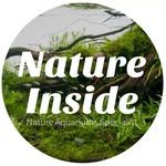 natureinsidemy 프로필 사진