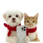 jjangmongttang 프로필 사진