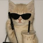 sallimmanage 인스타그램 프로필 사진