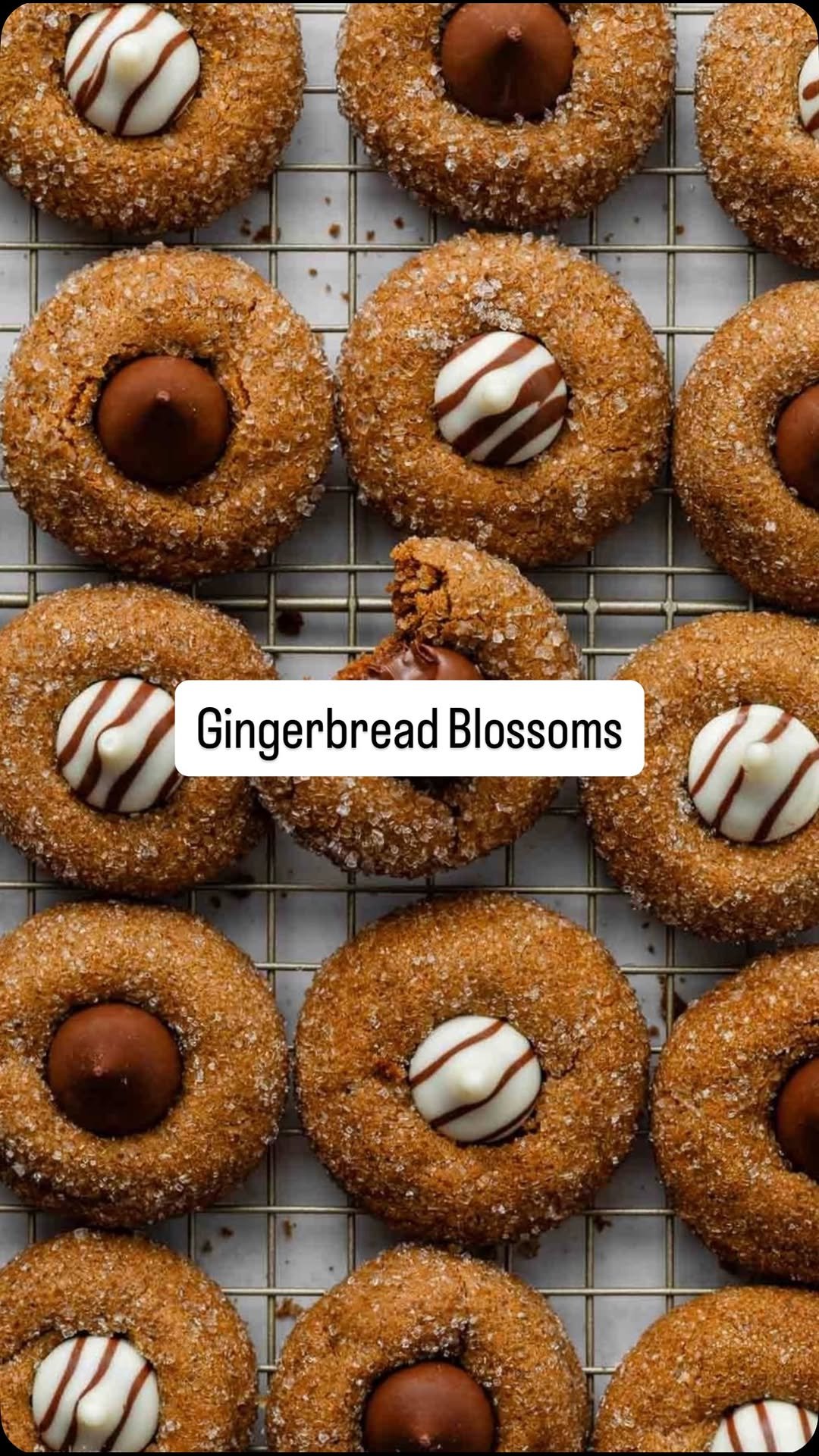 sallysbakeblog 게시물 이미지: Day 2 in Sally’s Cookie Palooza...