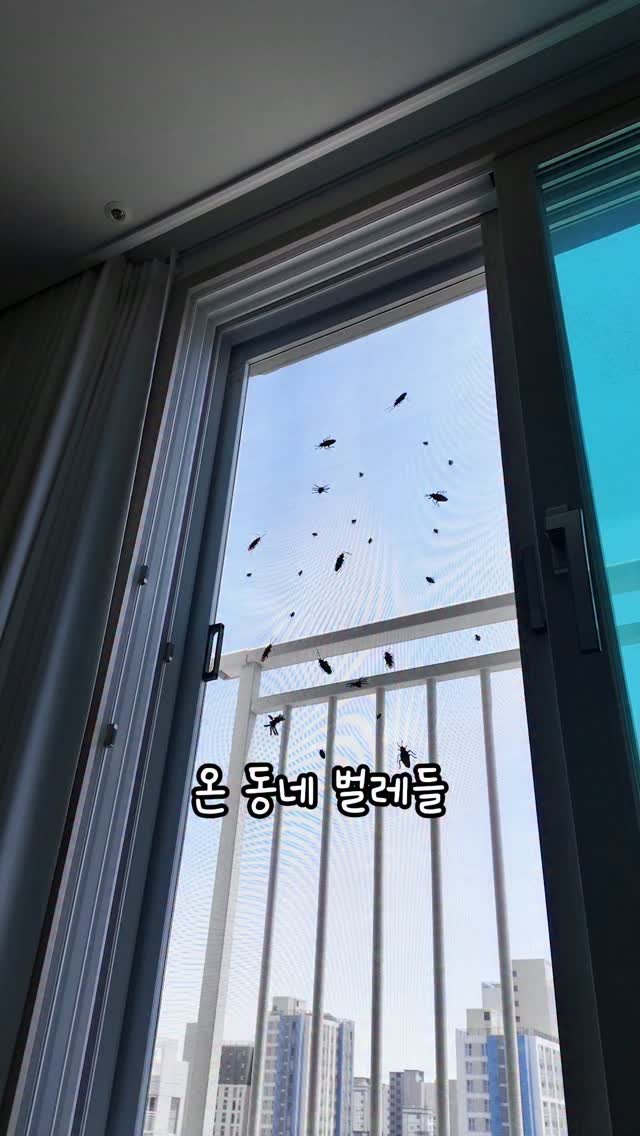 salrim_studio 게시물 이미지: 📣 끝판왕 하수구트랩 공동구매 OPEN!
📅 공구 기간 6월 29일 ~ 7월...