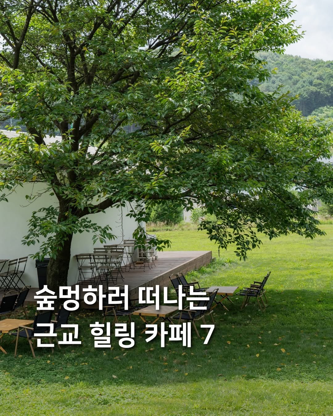 samdori_archive 게시물 이미지: 숲멍하러 떠나는, 근교 힐링 카페 7곳🌳

1. 캡처드 서울...