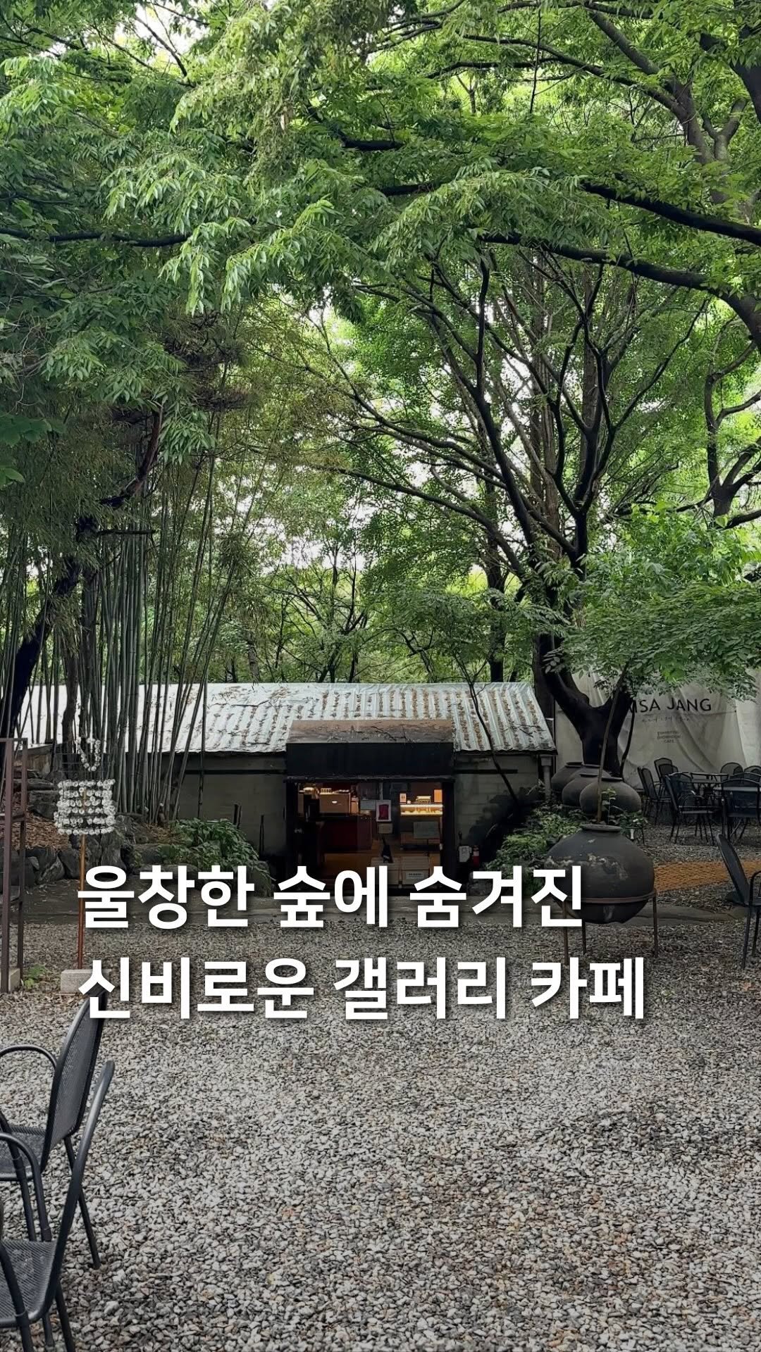 samdori_archive 게시물 이미지: 울창한 숲에 숨겨진, 신비로운 갤러리 카페🌳

숲속의 자연과 함께 예술을...