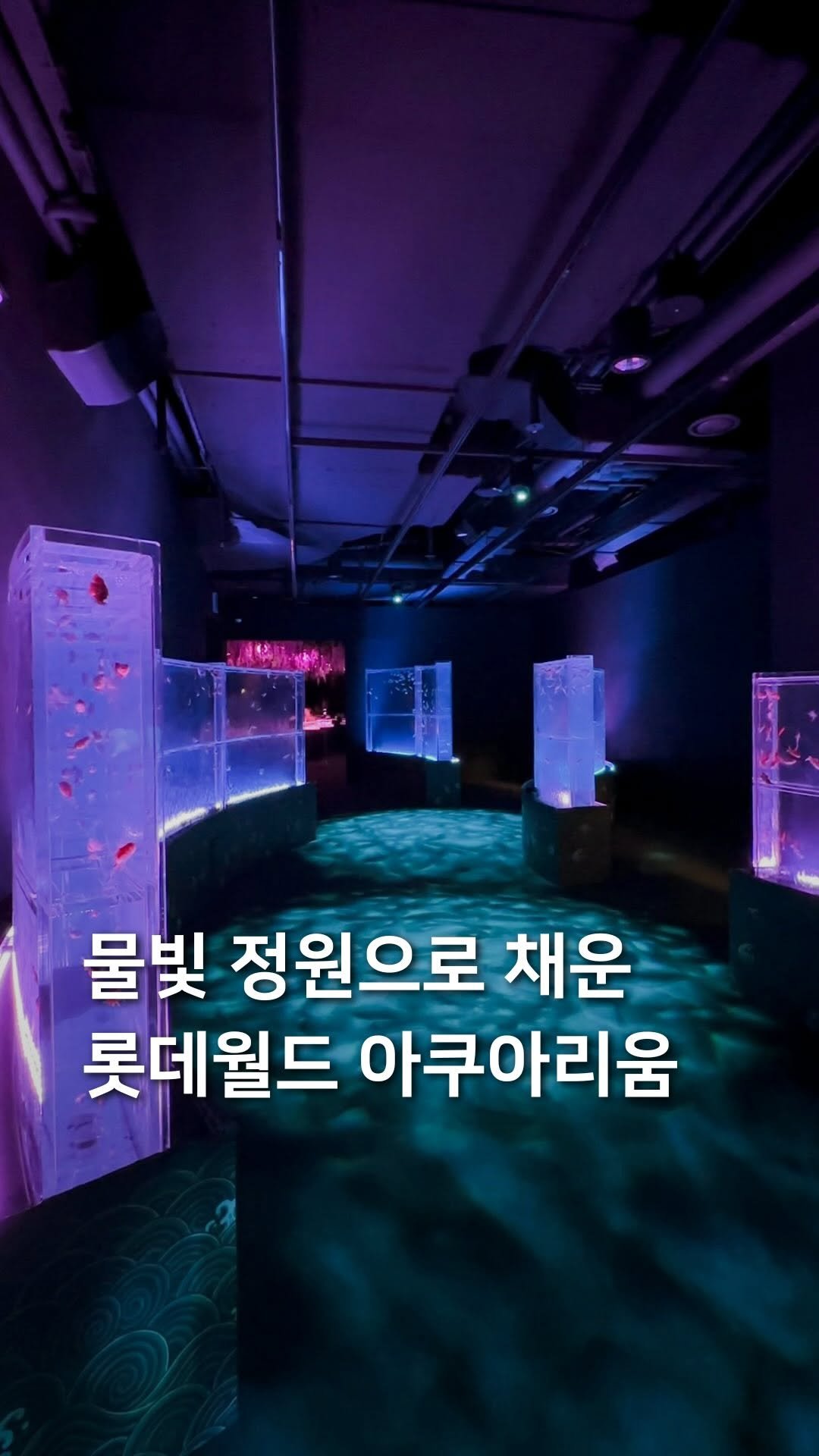 samdori_archive 게시물 이미지: 물빛 정원으로 채운, 롯데월드 아쿠아리움🌊#광고 

몽환적인 아름다움이 펼쳐지는...
