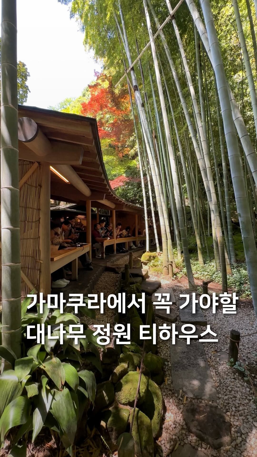 samdori_archive 게시물 이미지: 가마쿠라에서 꼭 가야할, 대나무 정원 티하우스🍵

가마쿠라 여행을 가신다면
꼭...