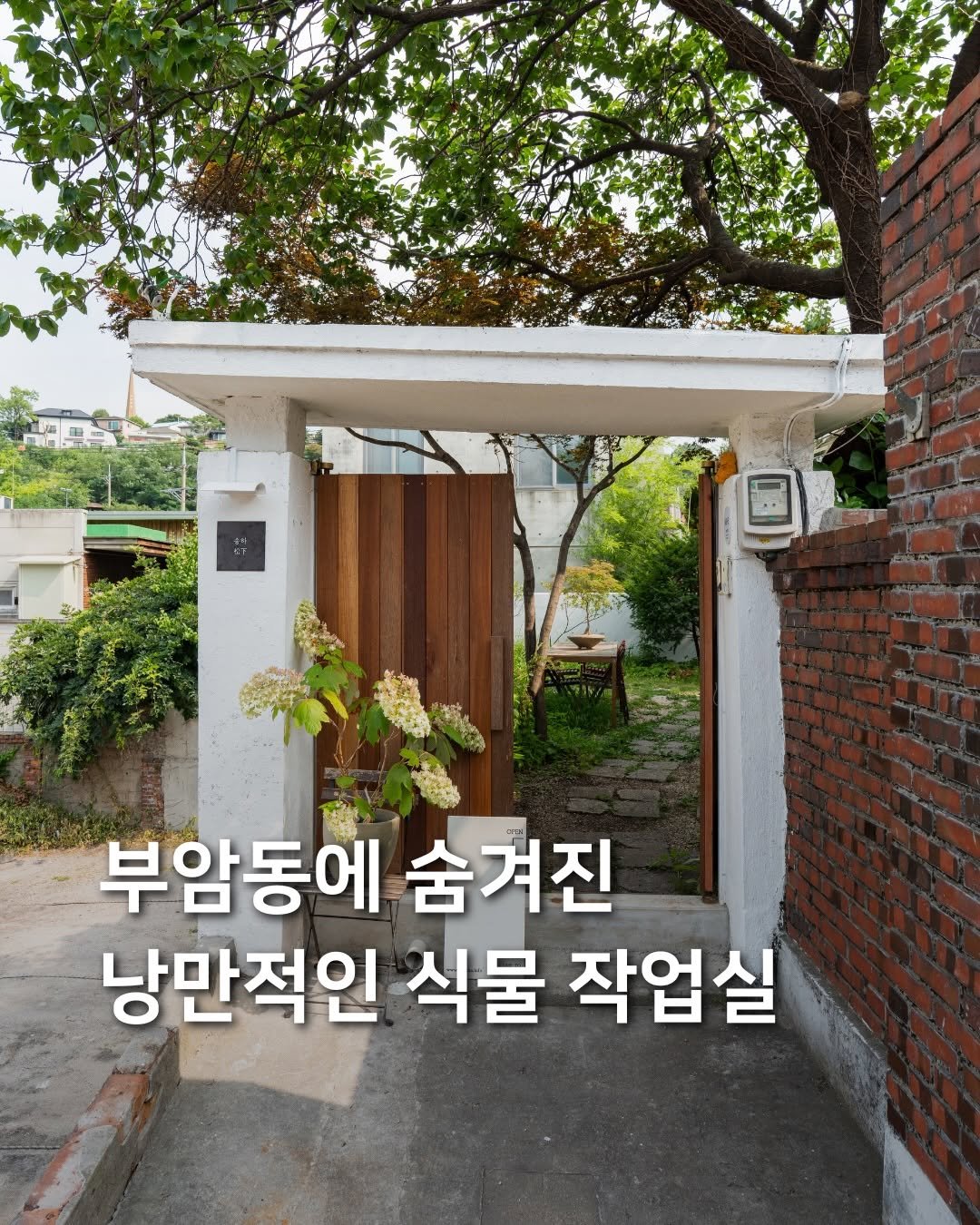 samdori_archive 게시물 이미지: 부암동에 숨겨진, 낭만적인 식물 작업실🪴

여름날의 낭만적인 분위기로...