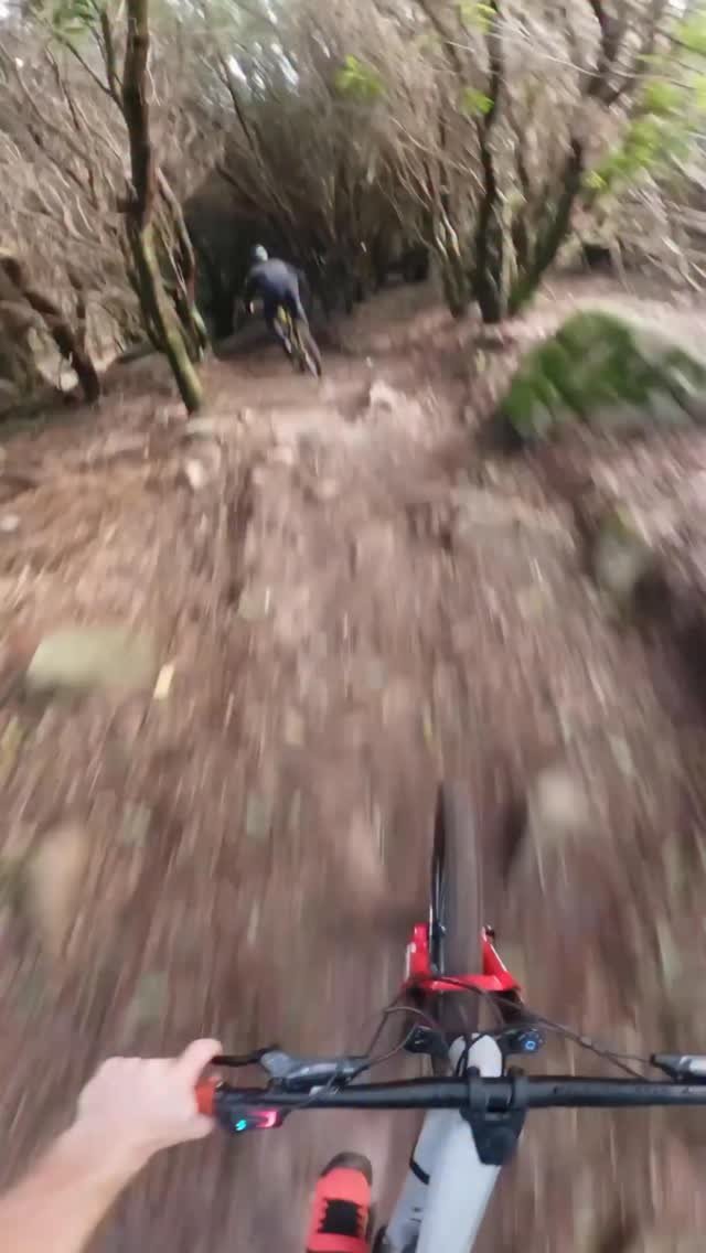 sampilgrim 게시물 이미지: POV: you’re @sampilgrim on your Neuron:ON...