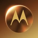 motorolain 프로필 사진