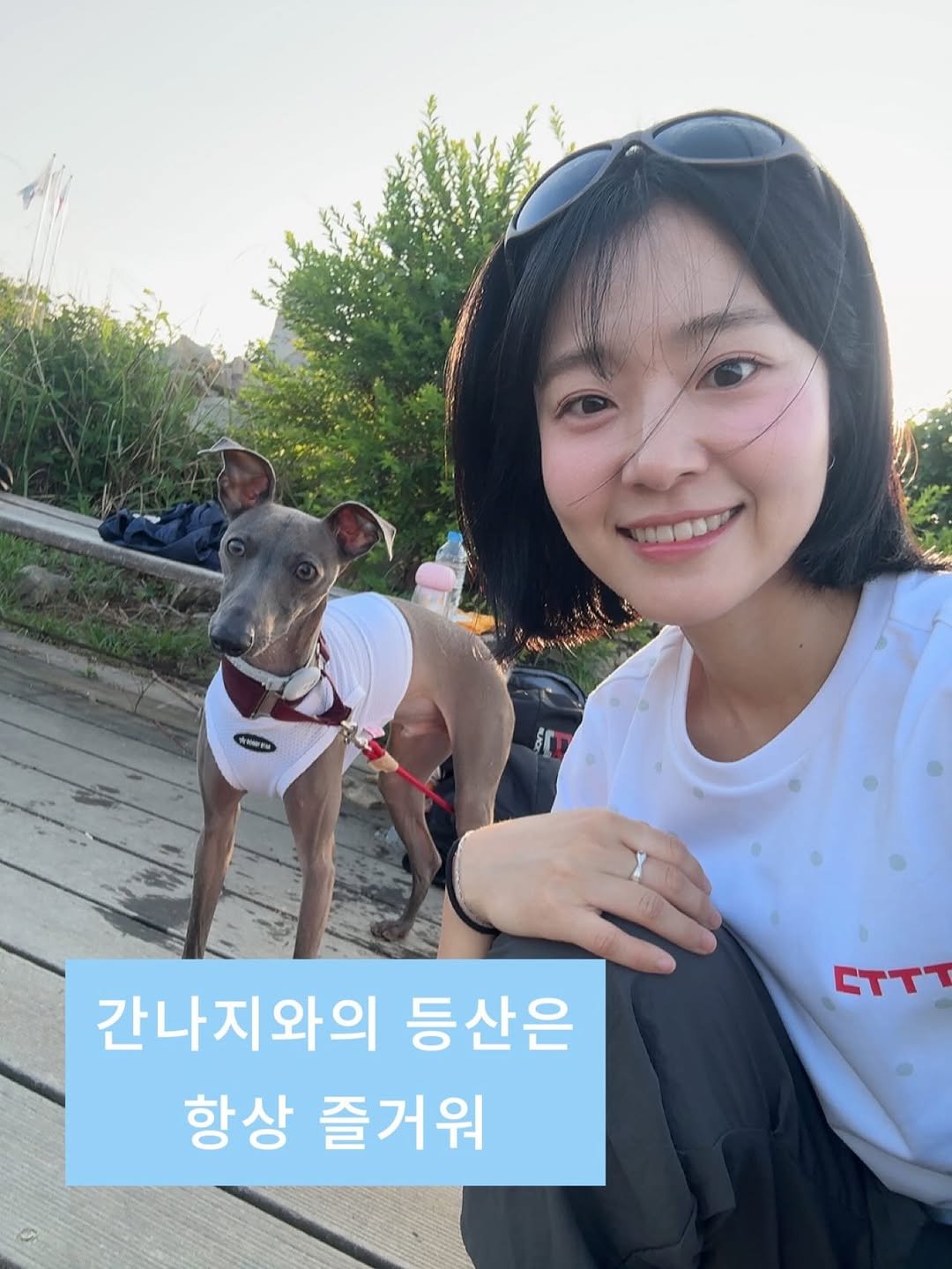 san_haepaal 게시물 이미지: :
며칠째 비오고 흐리다 드디어 맑은 하늘 !
내일은 건강검진의 날이자 주말...