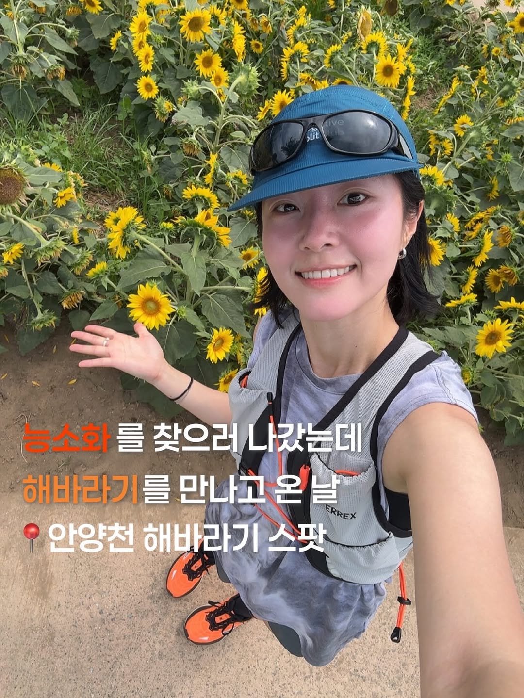 san_haepaal 게시물 이미지: :
안양천에도 예쁜 능소화가 많다고 해서
능소화 찾으러 나갔다가
더 예쁜 해바라기...