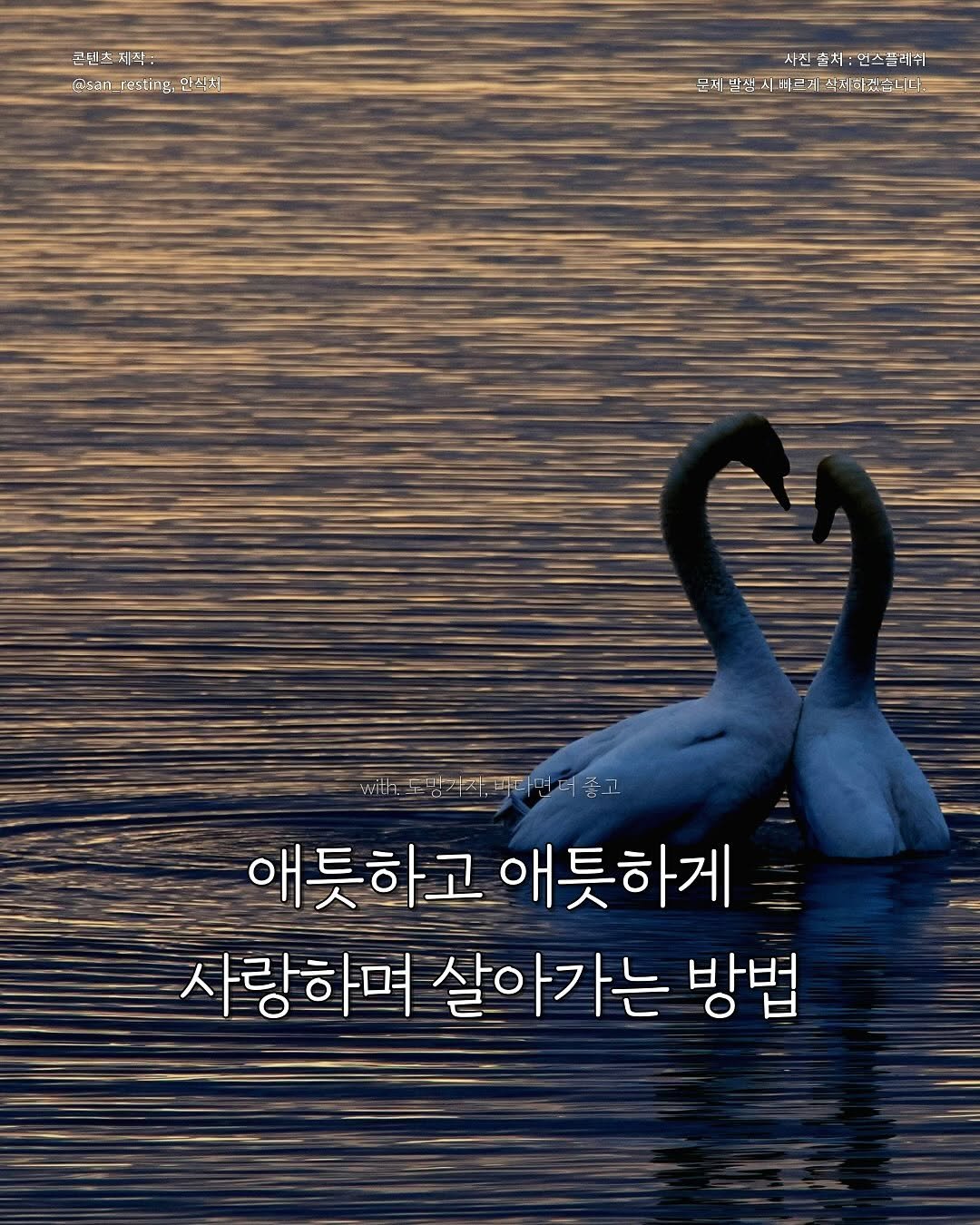 Photo by 안식처 on July 07, 2025. May be an image of swan and text.