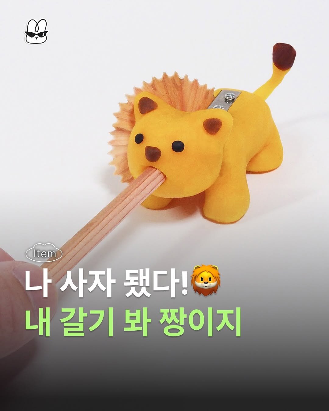Photo by 산독기 매거진 on July 30, 2025. May be an image of toy and text that says 'HA (Item Item 나 사자 나사자됐다! 됐다! 내 갈기 봐 짱이지'.