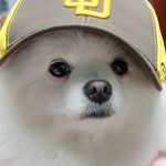 052suo 프로필 사진