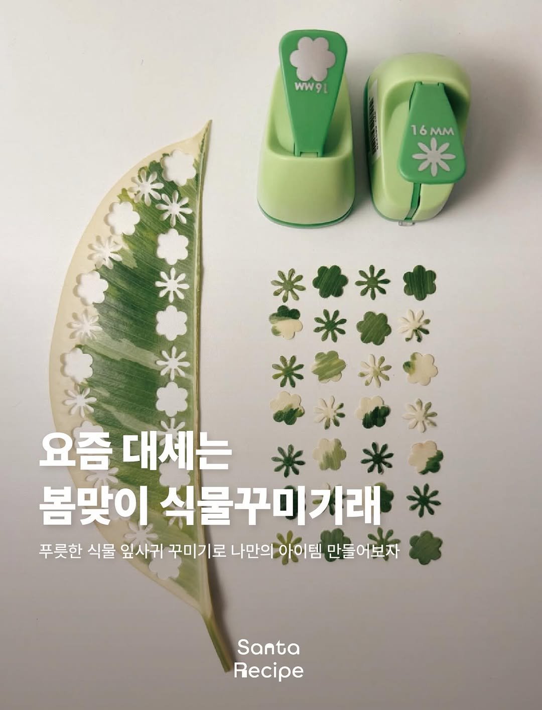 Photo by 산타레시피 | Santa Recipe on March 31, 2026. May be an image of text that says 'WW WW91 16MM MM 16 요즘 대체는 봄맞이 식물꾸미기래 푸룻한 식물 잎사귀 꾸미기로 나만의 아이템 만들 어보자 Santa Recipe'.