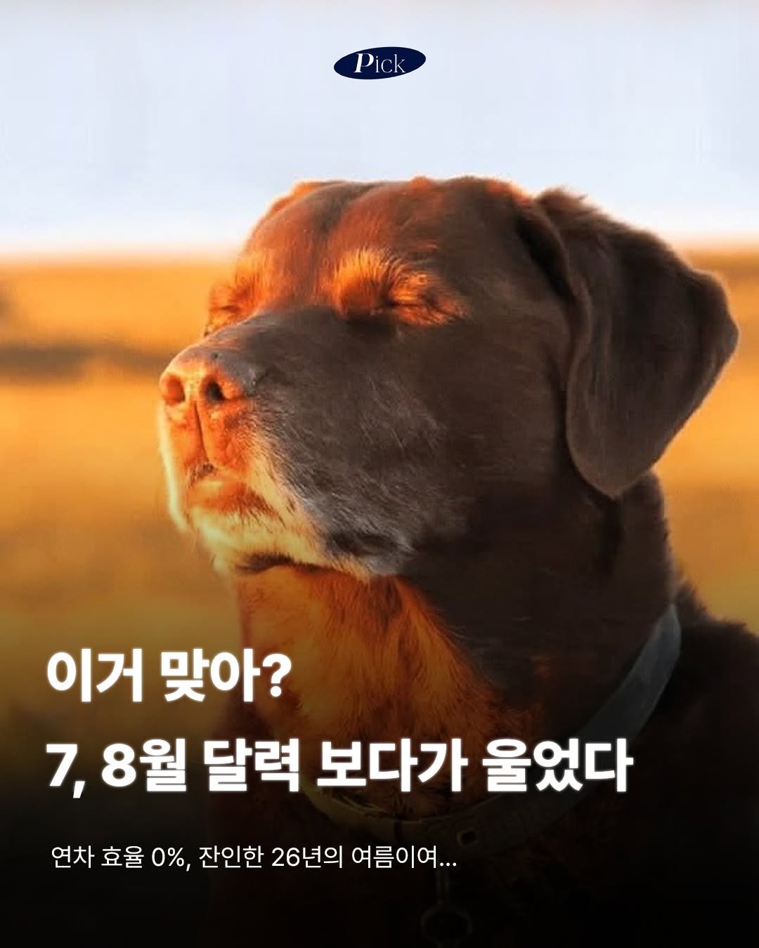 saramin_official 게시물 이미지: 직장인에게 가장 긴 휴가는 연차도 명절도 아닙니다. 이직하고 첫 출근 하기 전, 그...