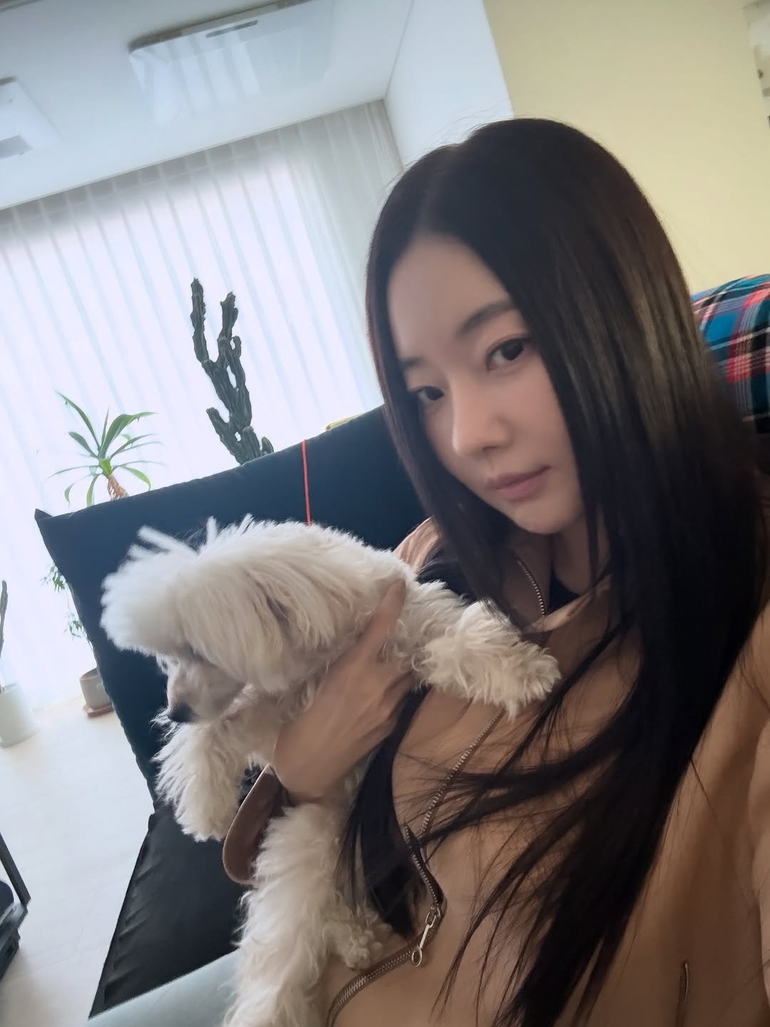 Photo by 김사랑 sarang Kim. on November 05, 2025. May be an image of one or more people, hair, Maltese, Pekinese and text.