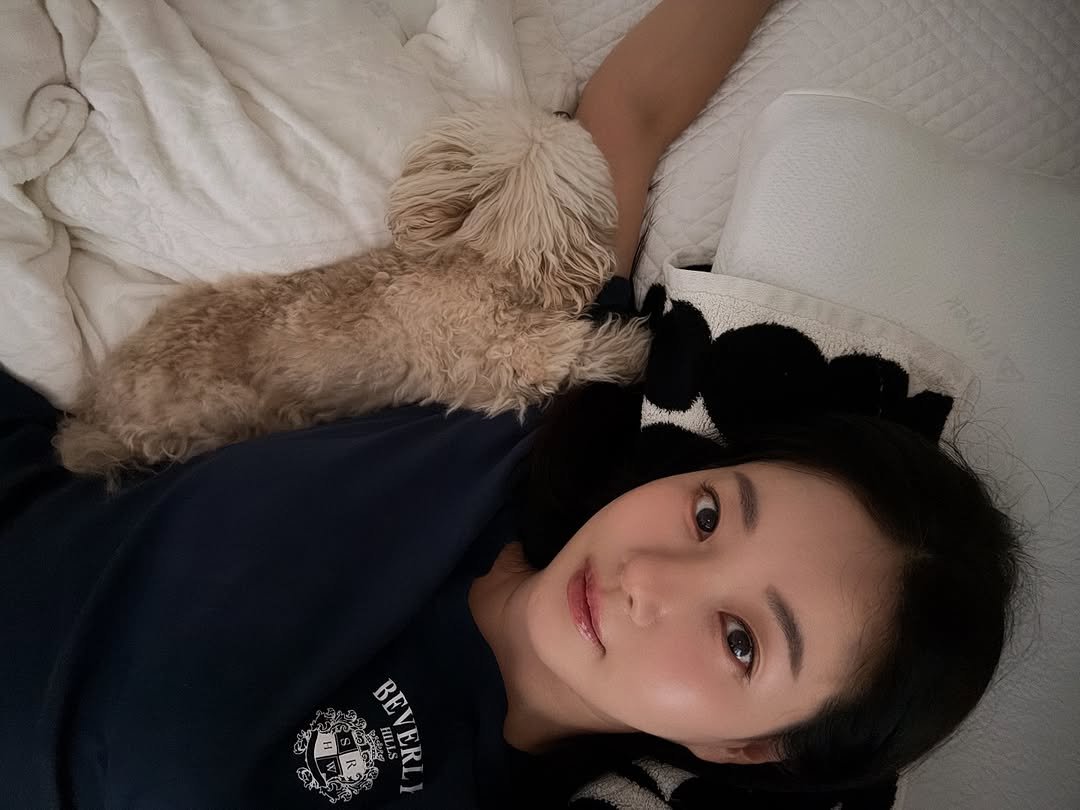 Photo by 김사랑 sarang Kim. on October 09, 2025. May be an image of slow loris, Bedlington terrier, Norwich terrier and text.