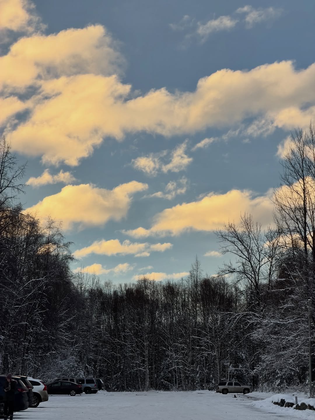 Photo by 서눙 on December 29, 2025. May be an image of ski slope, tree, cloud, snow, park and text.