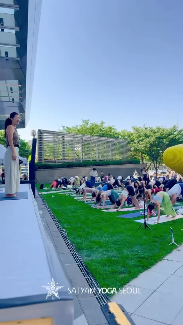 satyamyoga_seoul 게시물 이미지: ✨2026년 5월 16일 19회 글로벌 요가말라✨

19번째 뜻깊은 행사를...