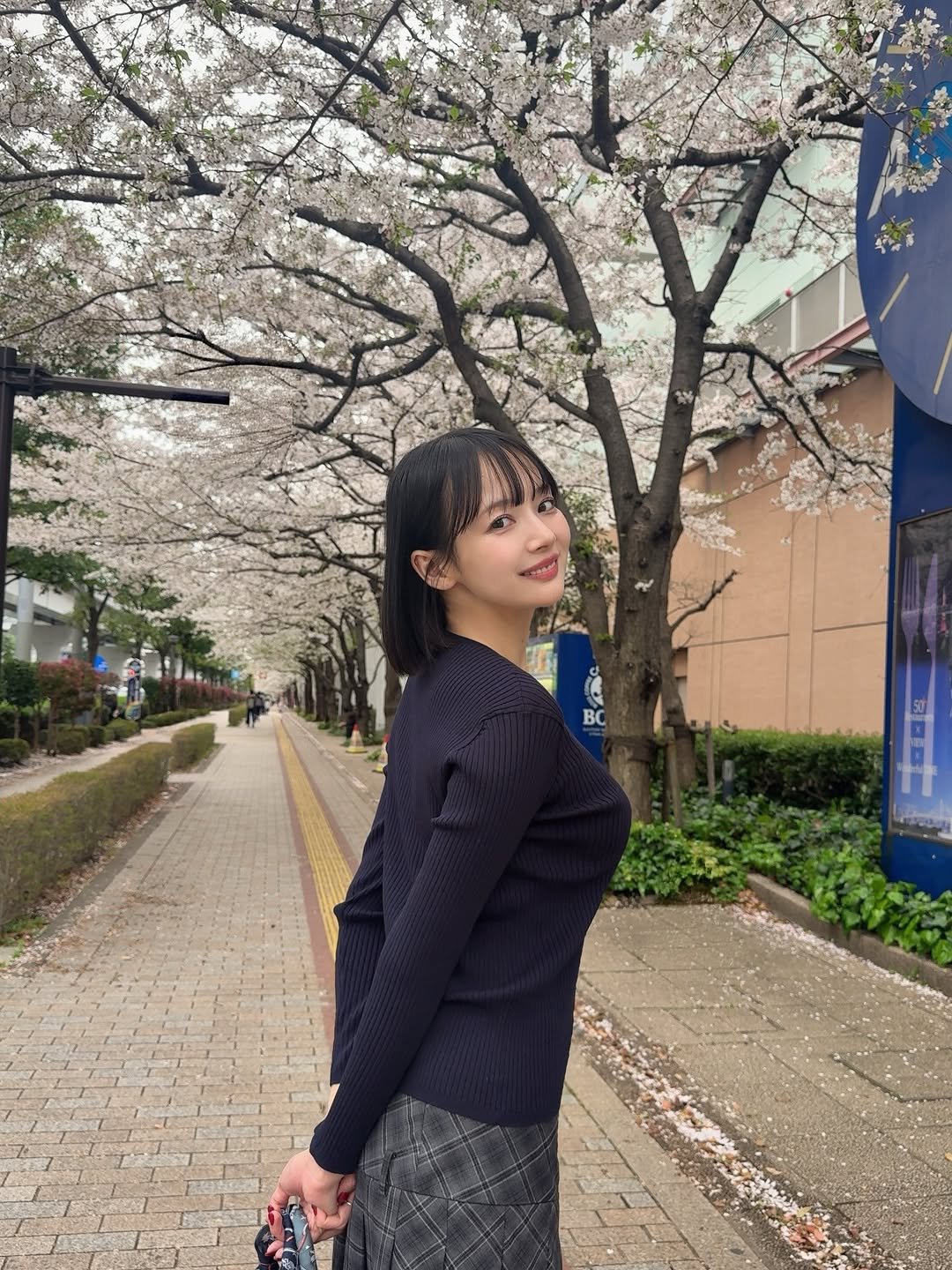 Photo by 岡田紗佳 on April 05, 2026. May be an image of stone-fruit tree and text.