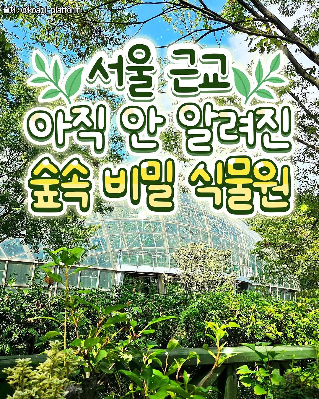 Photo shared by 성남맛집 | 성남카페 분당맛집 판교맛집 경기광주맛집 성남가볼만한곳 on November 04, 2025 tagging @seoul_life___. May be an image of tree, outdoors and text.