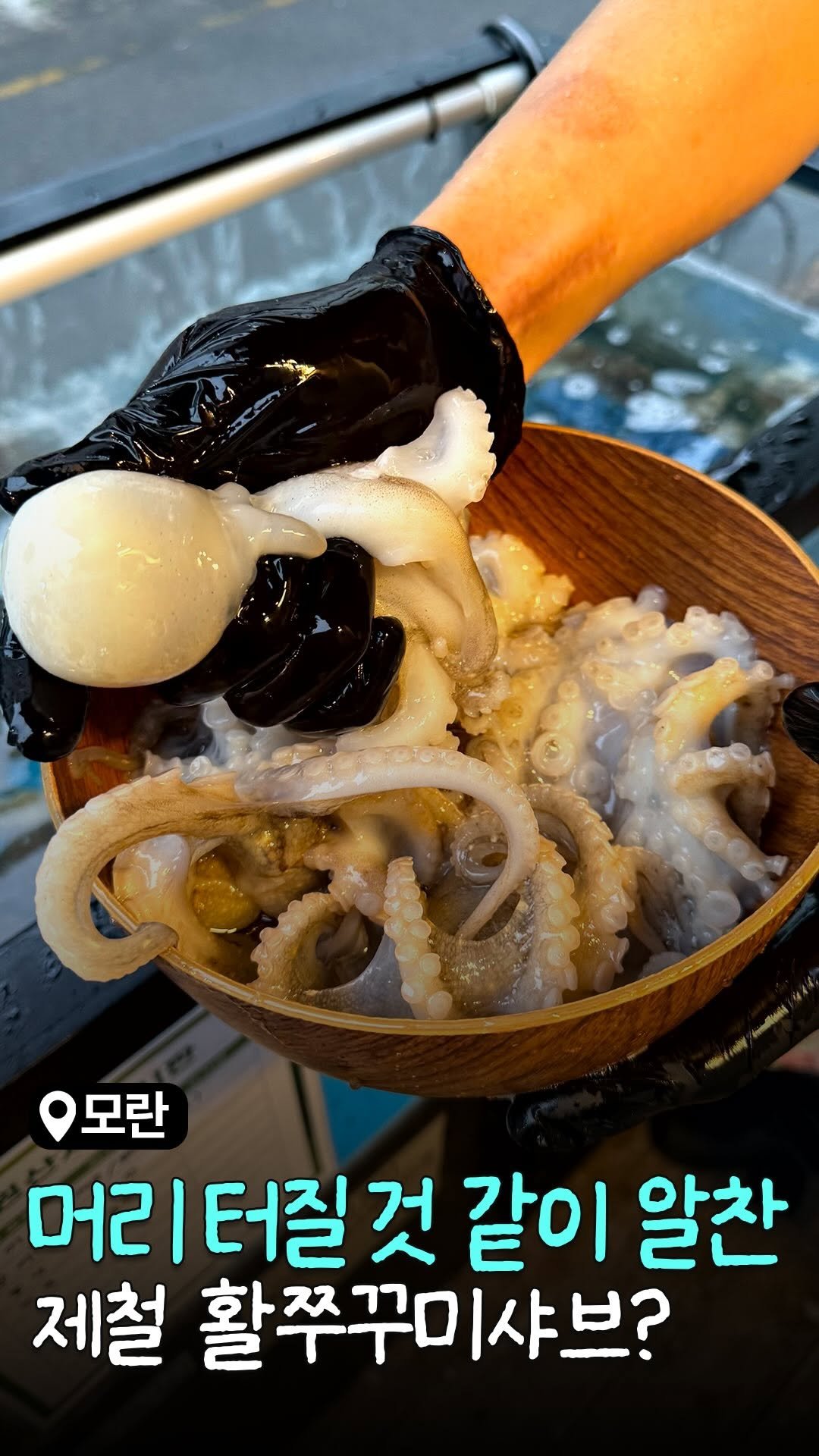 sbpmatzip 게시물 이미지: 머리 터질 것 같이 알로 가득〰️찬
제철 활쭈꾸미샤브샤브를🐙
가성비 좋게 먹을 수...