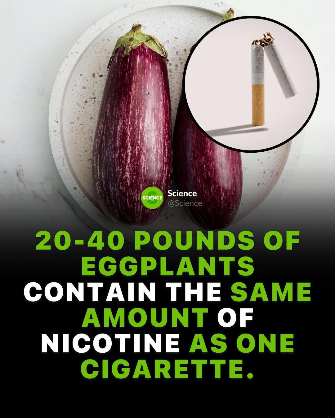 science 게시물 이미지: Tobacco is also a member of the nightshade...