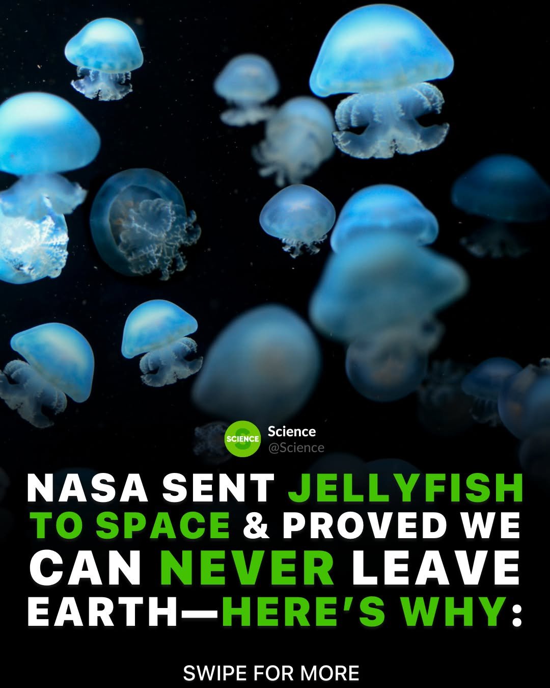 Photo by Science 🧬 on March 08, 2026. May be an image of text that says 'SCIENCE Science NASA SENT JELLYFISH to SPACE & PROVED WE CAN NEVER LEAVE EARTH ARTH-HERE'S -HERE'S WHY: SWIPE FOR MORE'.