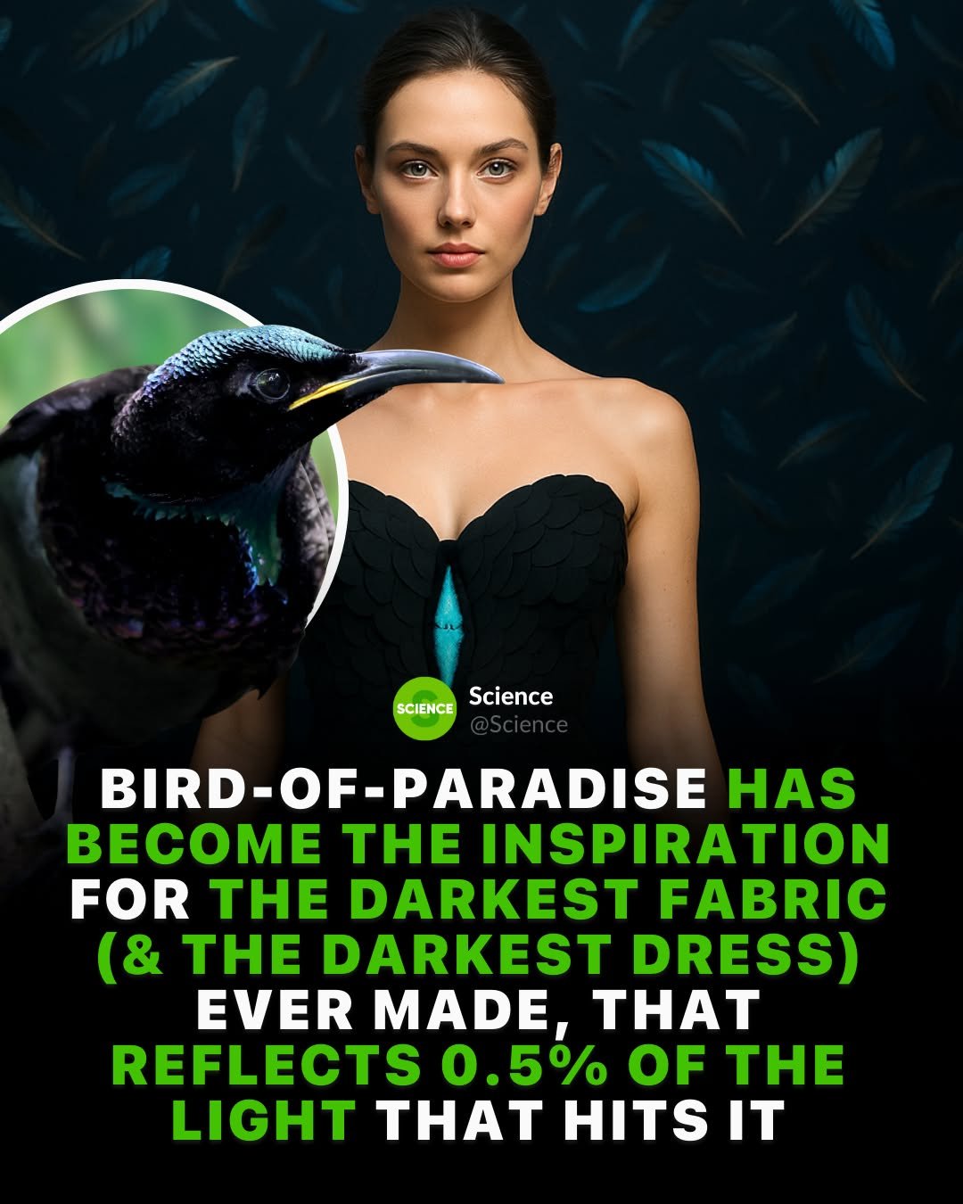 Photo by Science 🧬 on December 02, 2025. May be an image of bird, poster and text that says 'SCIENCE Science BIRD-OF- RD-OF-PARADISE HAS BECOME THE INSPIRATION FOR THE DARKEST FABRIC (& THE DARKEST DRESS) EVER MADE, THAT REFLECTS 0 0.5％ OF THE LIGHT THT HITS IT'.