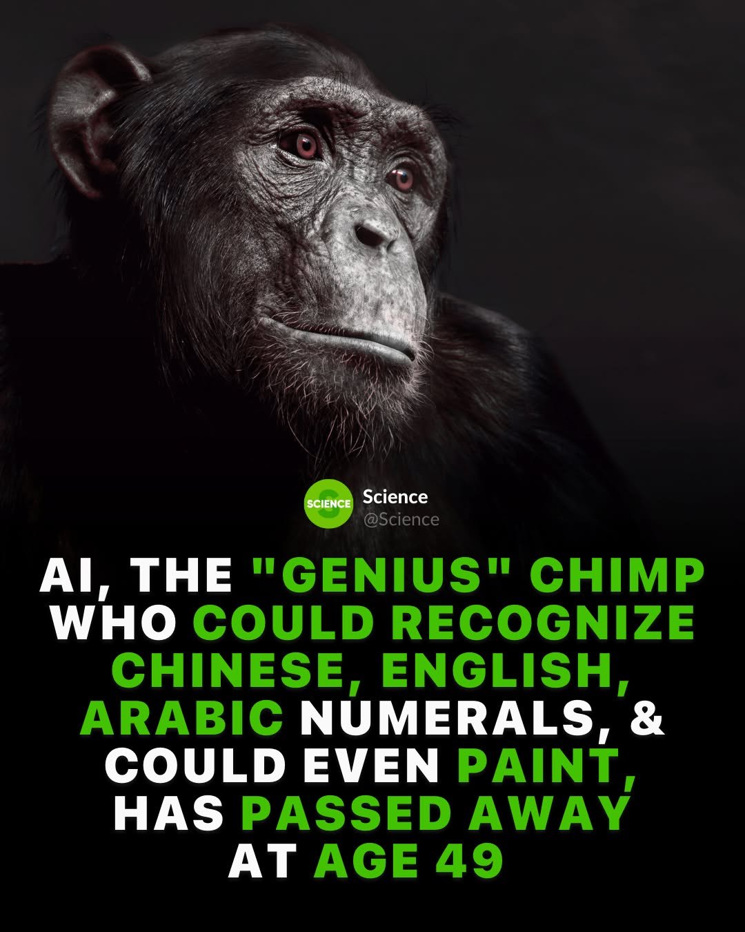 Photo by Science 🧬 on January 14, 2026. May be an image of text that says 'SCIENCE Science AI, THE "GENIUS" CM WHO COULD RECOGNIZE CHINESE, ENGLISH, ARABIC NUMERALS, & COULD EVEN PAINT HAS PASSED AWAY AT AGE 49'.