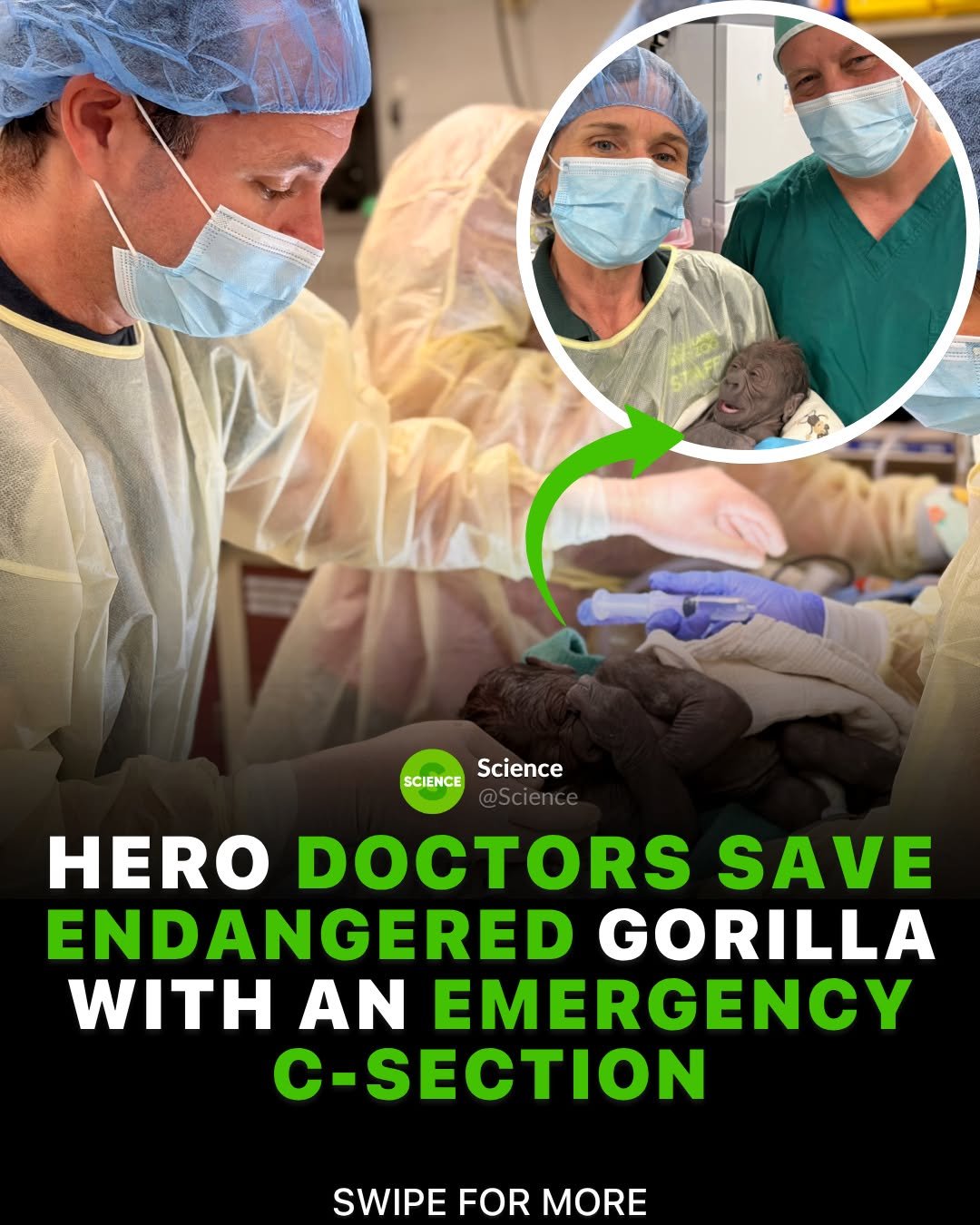 science 게시물 이미지: Human obstetricians just performed one of...