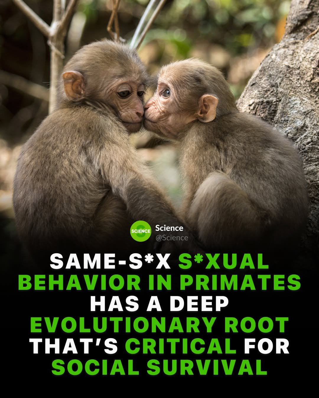 Photo by Science 🧬 on January 13, 2026. May be an image of text that says 'SCIENCEScience SCIENCE Science SAME-S*X S*XUAL BEHAVIOR IN PRIMATES HAS A DEEP EVOLUTIONARY ROOT THAT'S CRITICAL FOR SOCIAL SURVIVAL'.