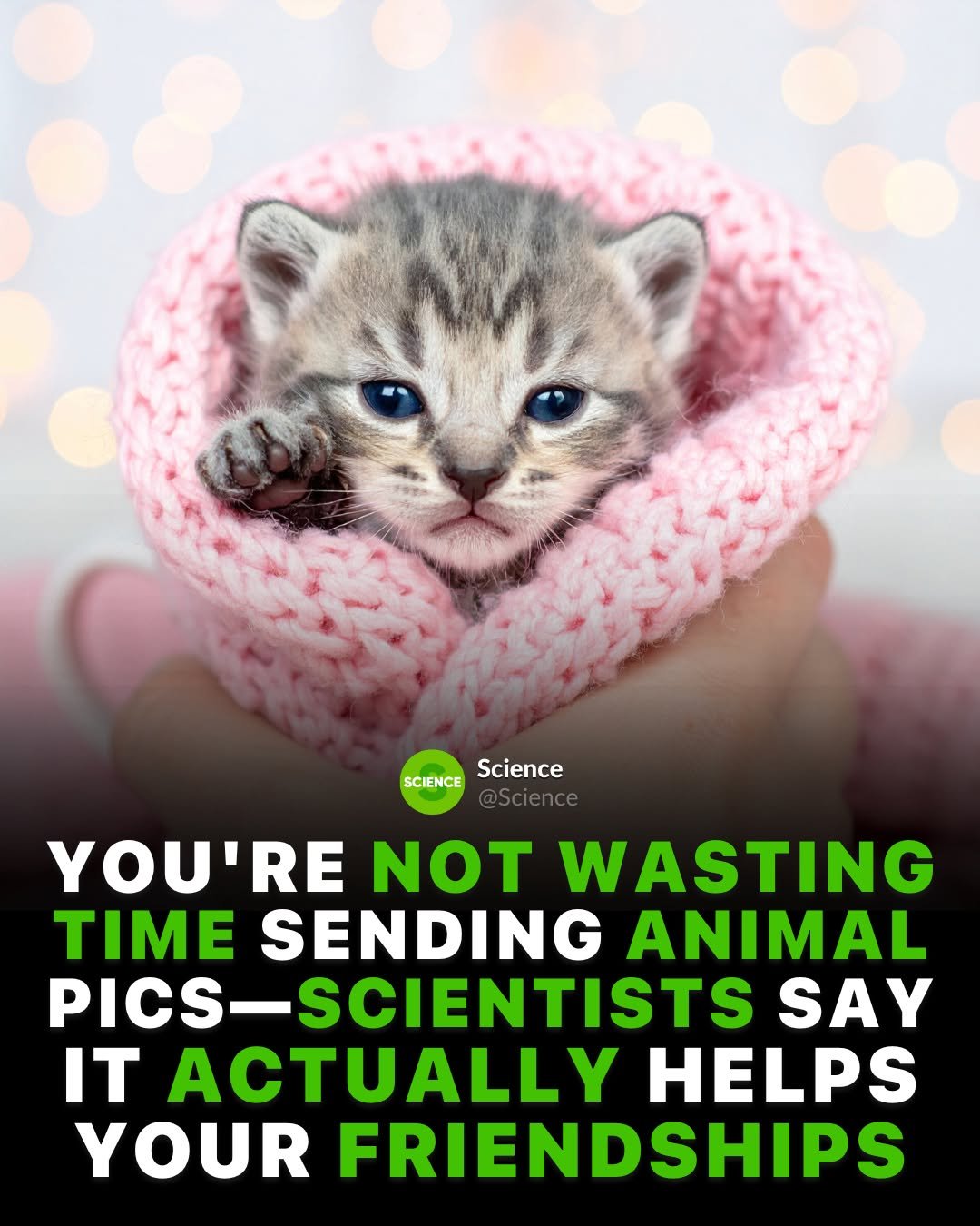 science 게시물 이미지: Scientists have finally solved the mystery of...