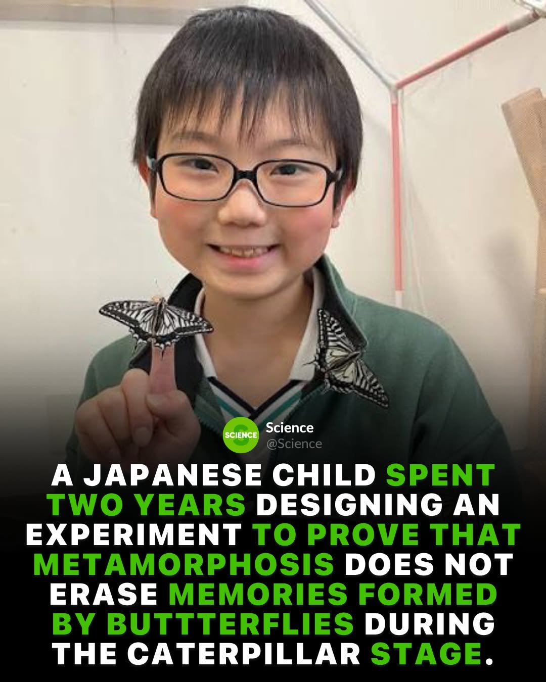 science 게시물 이미지: A second-grader in Kobe, Japan noticed...