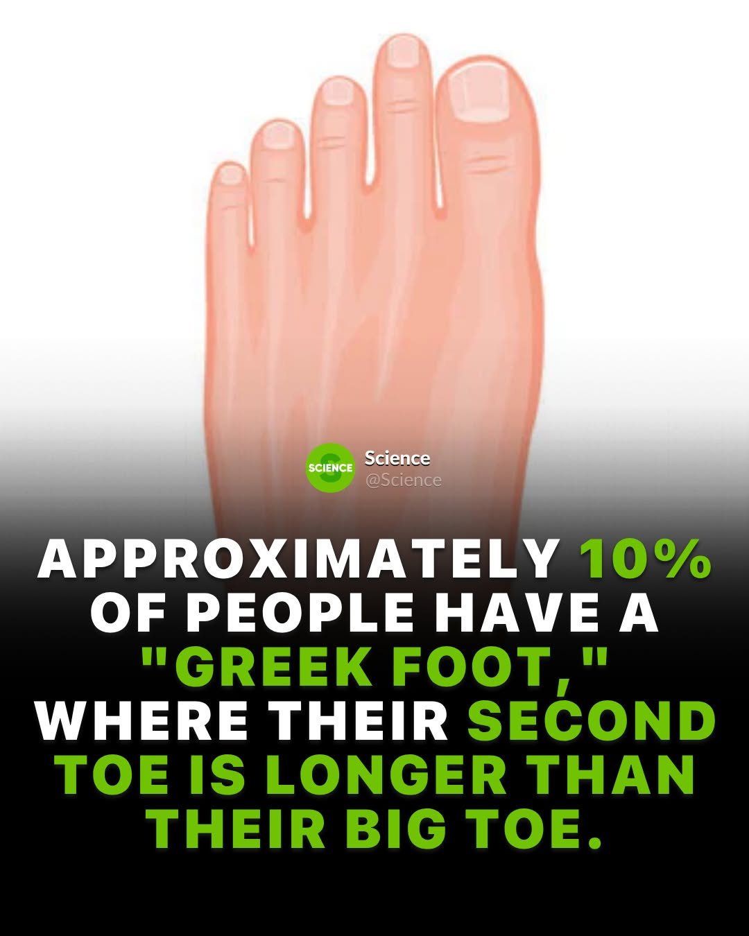 Photo by Science 🧬 on April 24, 2026. May be an image of plant and text that says 'በባባይ SCIENCE SCIENCEScience Science @Science APPROXIMATELY 10% OF PEOPLE HAVE A "GREEK FOOT," WHERE THEIR SECOND TOE IS LONGER THAN THEIR BIG TOE.'.