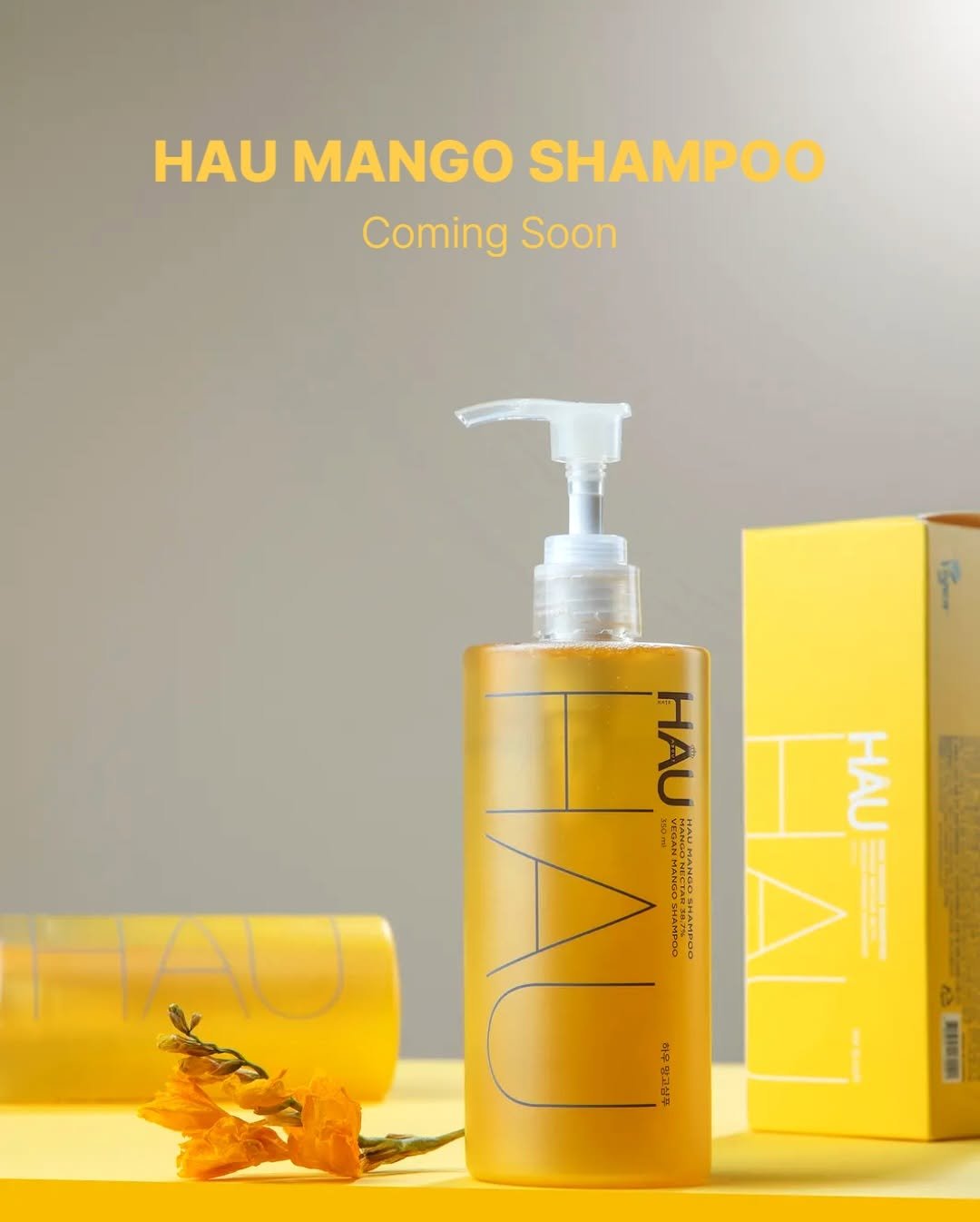 Photo by 김대영 시크리스 on December 11, 2025. May be an image of hair product, mango and text.