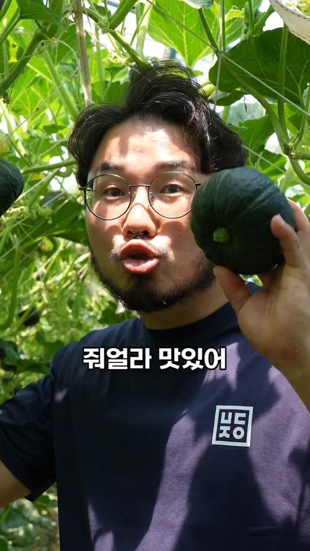 seagood_food 게시물 이미지: 이거  기달렸죠?

🎃 드디어 다음 주부터 수확 시작합니다.

해남의 따뜻한 햇살과...