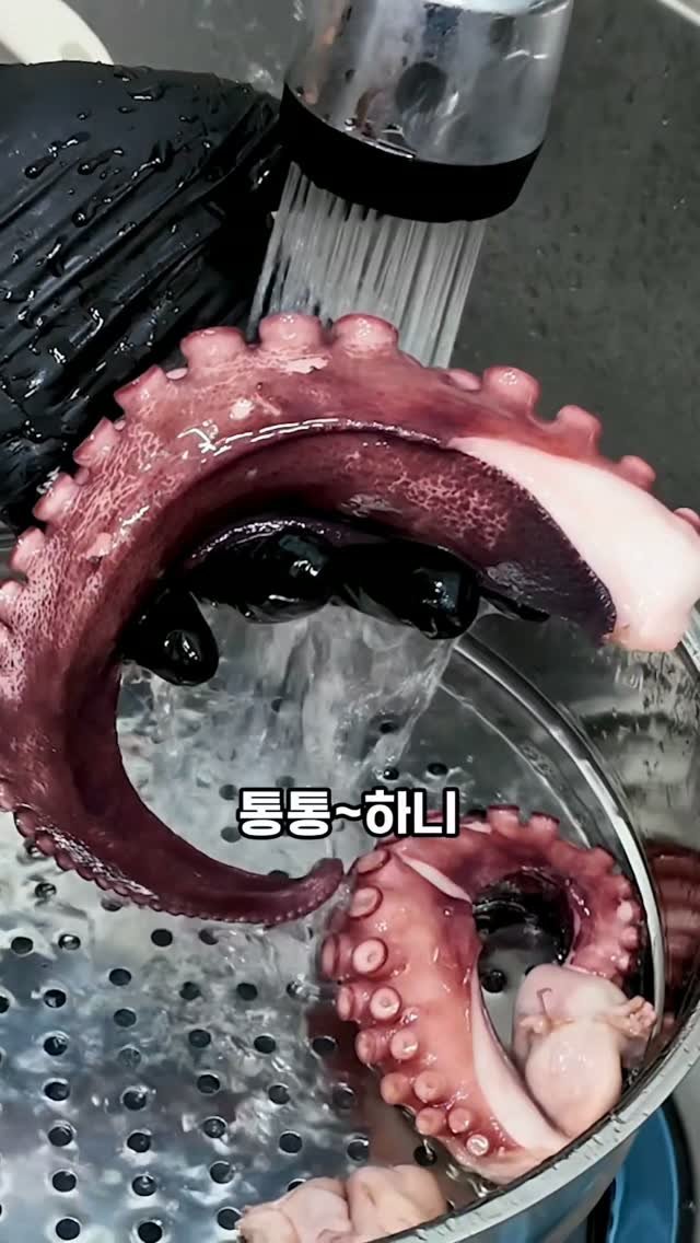 seagood_food 게시물 이미지: 이건 꼭 추천!
저는  어떻게하면  손이 덜가면서 신선한것을
드릴까  고민하다가...