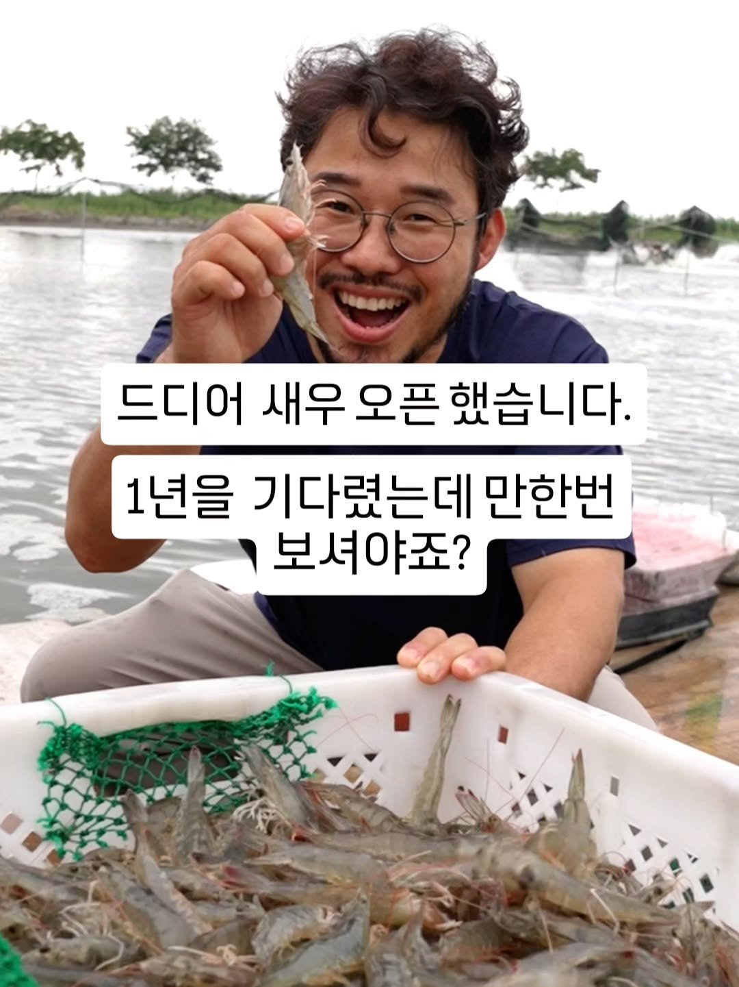 seagood_food 게시물 이미지: 기다리다 현기증 난다고 하셔서… 

🦐 드디어 햇새우 오픈!

"생새우 언제...