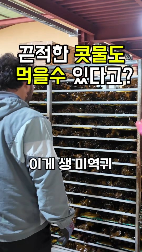 seagood_food 게시물 이미지: 콧물 같은 이거, 먹어도 되는 거냐고요?"

그럼요! 오히려 이게 없으면 
미역귀...
