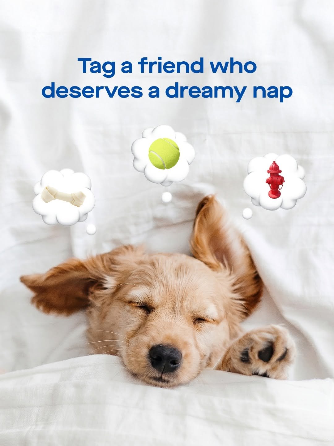 sealy 게시물 이미지: *snuggles into Dreamlife®
(you can tag...